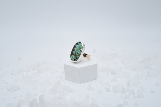 Turquoise in mixed metal size 7