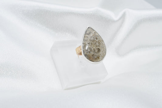 fossilized coral ring size 8