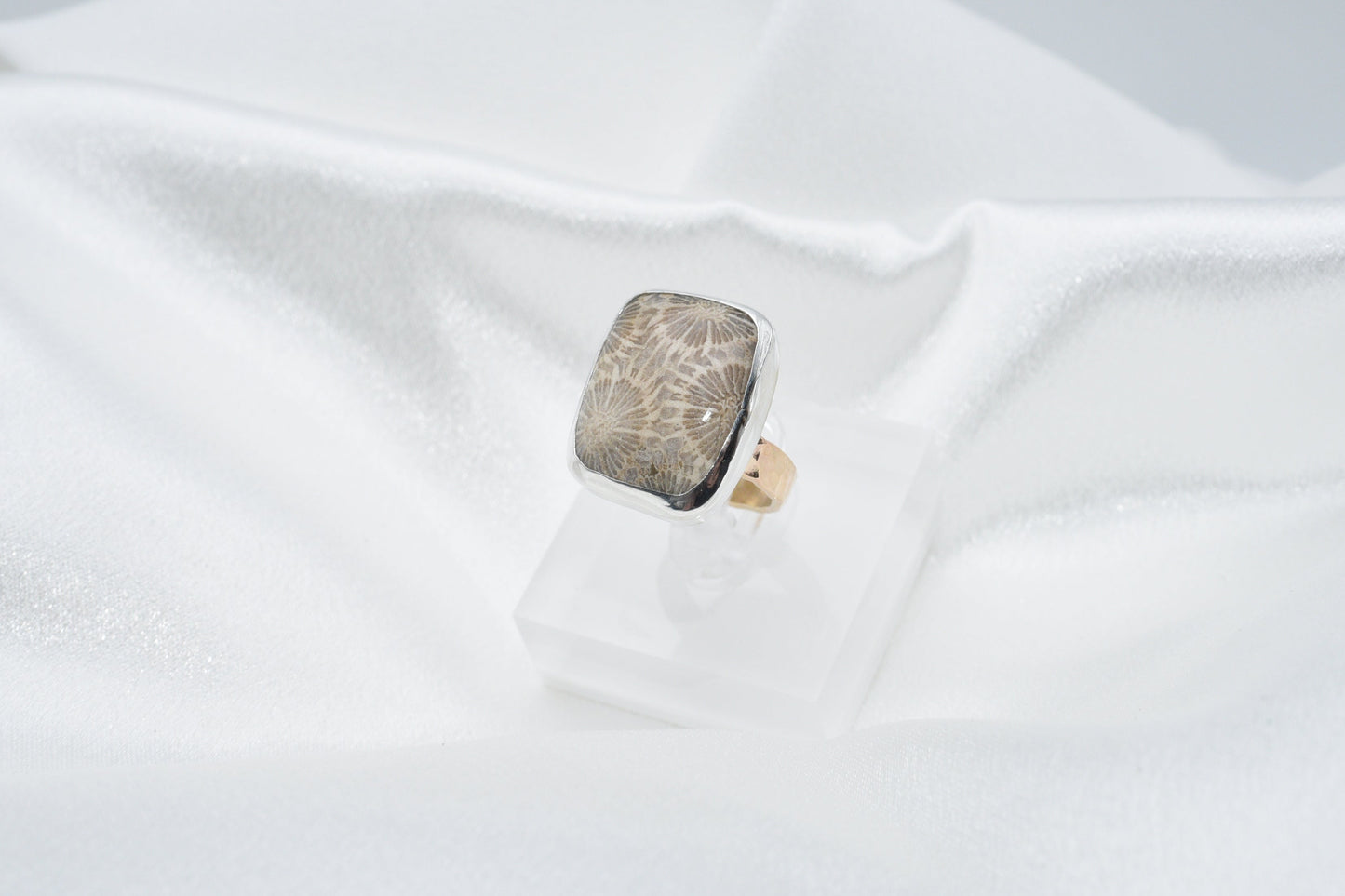 fossilized coral ring size 7