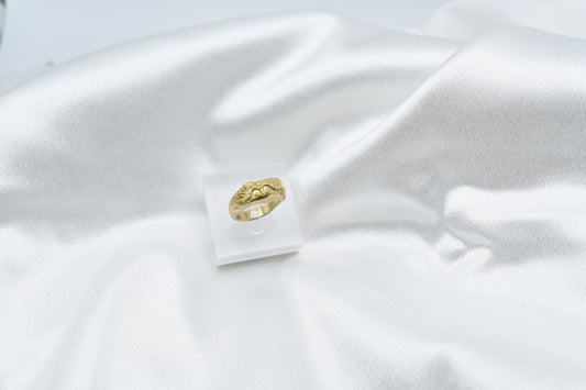 Hummingbird bronze ring size 7.5